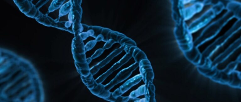 Covid-rokotteet integroituvat ihmisen DNA:han, vertaisarvioitu tutkimus vahvistaa