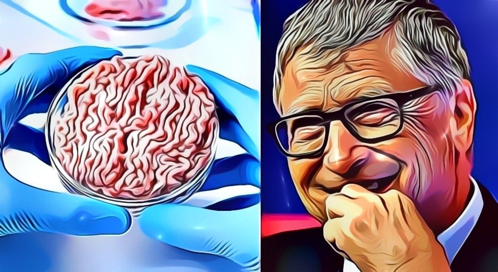 Bill Gatesin laboratoriossa kasvatettu “liha” 25 kertaa huonompi ilmaston kannalta kuin naudanliha, tutkimus osoittaa.