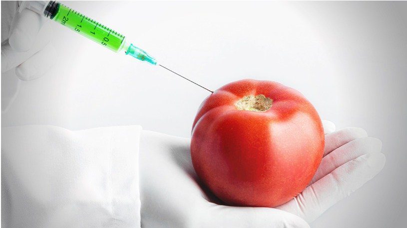 Rokotus ruoan kautta: Tiede on työskennellyt tällaisten “rokotuskasvien” parissa 30 vuoden ajan