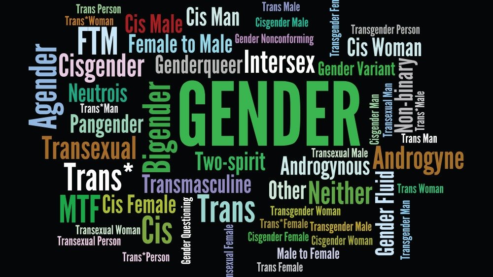 Onko itsensä “transsukupuoliseksi” julistaminen misinformaatiota?