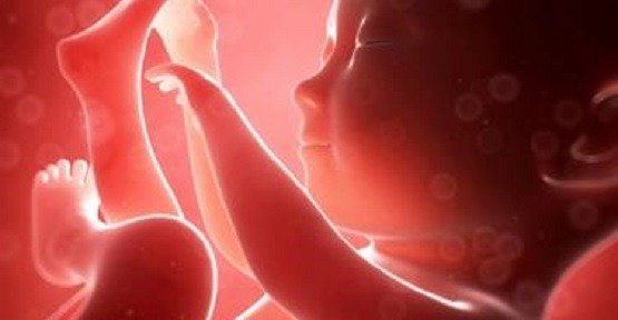 Arkansasin oikeusministeri esti yrityksen laillistaa abortit syntymään asti