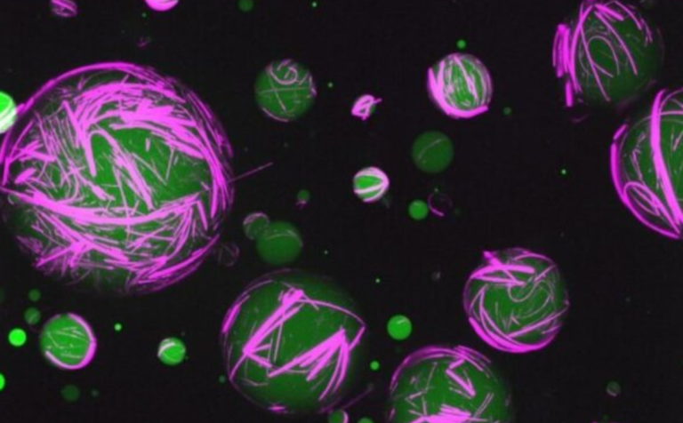 Tutkijat luovat ohjelmoitavia keinotekoisia soluja, jotka jäljittelevät eläviä soluja