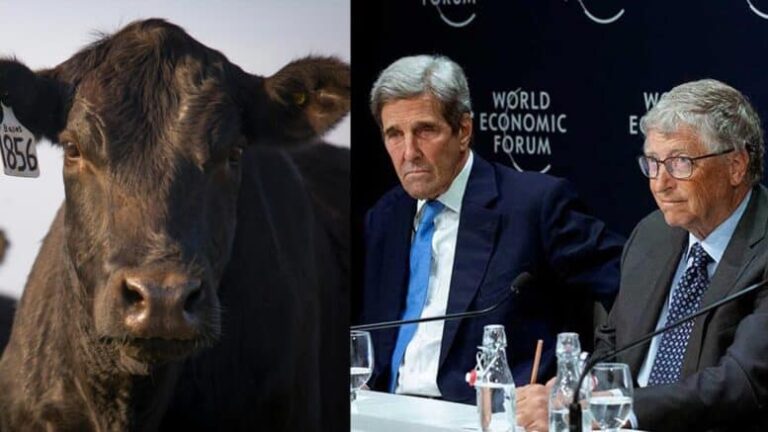 Tutkimus vahvistaa: lehmät EIVÄT aiheuta “ilmastonmuutosta”