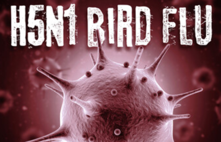 The ruling class "promotes" its "plan" to produce 4.8 million bird flu vaccines