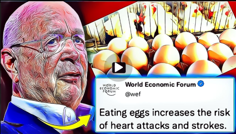 WEF sanoo kieltävänsä vaaralliset munat, tutkimuksessa todetaan niiden parantavat COVIDia