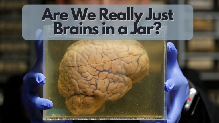 PubXtv: Are We Really Just Brains in a Jar?