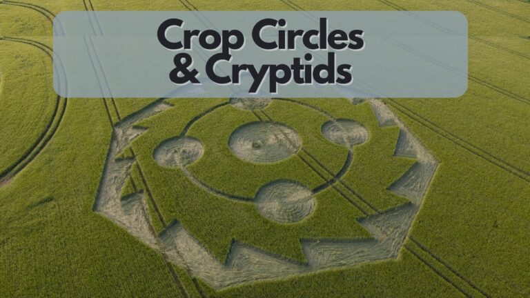 PubXtv: Crop Circles & Cryptids