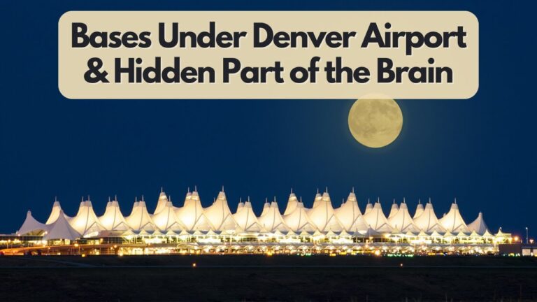 PubXtv: Bases Under Denver Airport & Hidden Part of the Brain