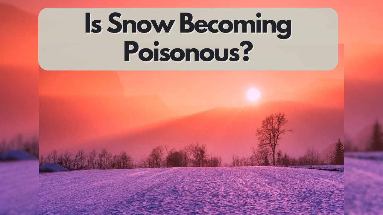 PubXtv: Is Snow Becoming Poisonous?